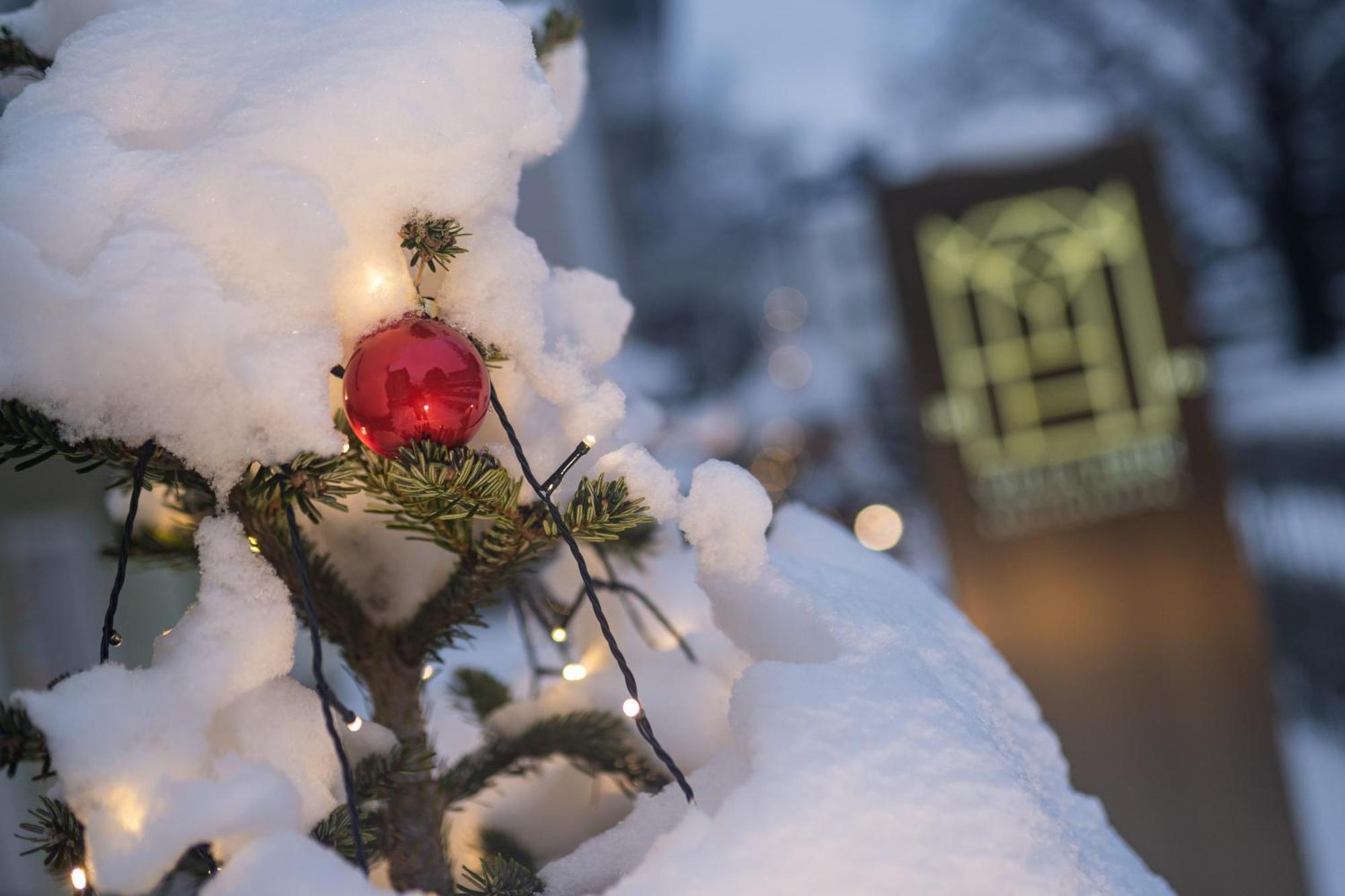Отель Rein Boutiquehotel