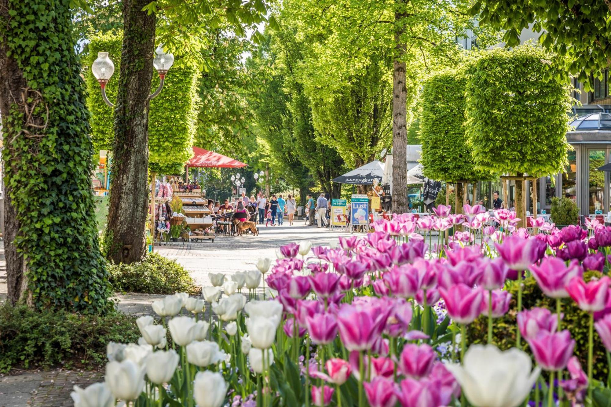 Villa Rein Boutiquehotel 4* Bad Reichenhall